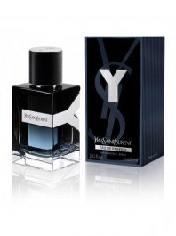 YSL Y